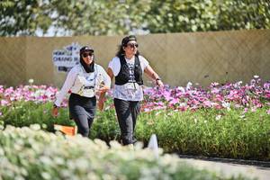 BIB: 
                            <button type="button" onclick="openModal(27794543)" class="btn btn-primary btn-sm float-right btn-popup" data-toggle="modal" data-target=".modal-high-quality">
                        <i class="fas fa-shopping-cart"></i> Add to Cart
                    </button>
                                            <button type="button" onclick="isThisMe(27794543, true)" class="btn btn-success btn-sm float-right btn-popup btn-isme hidden" data-toggle="tooltip" data-placement="bottom" title="นี่คือรูปของคุณใช่ไหม คลิกที่นี่เพื่อเอาเข้าอัลบั้ม">
                        <i class="fas fa-plus"></i> Add to album
                    </button>
                    <button type="button" onclick="isThisMe(27794543, false)" class="btn btn-warning btn-sm float-right btn-popup btn-isnotme hidden">
                        <i class="fas fa-ban"></i> Remove from album
                    </button>